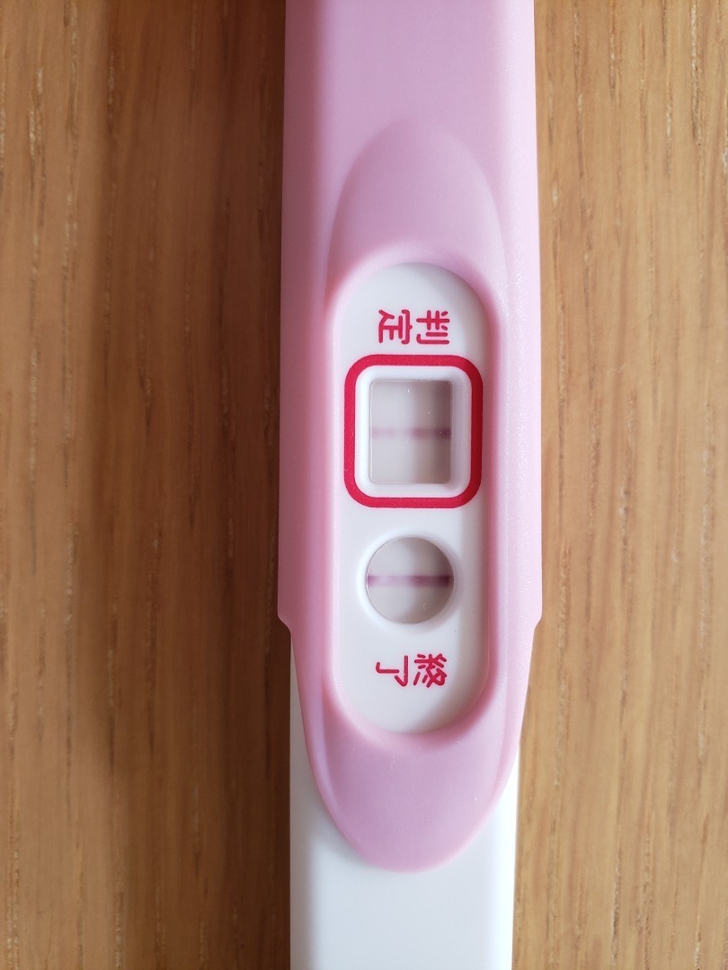 9月日妊娠検査薬陽性 ほぼ愚痴と体重記録